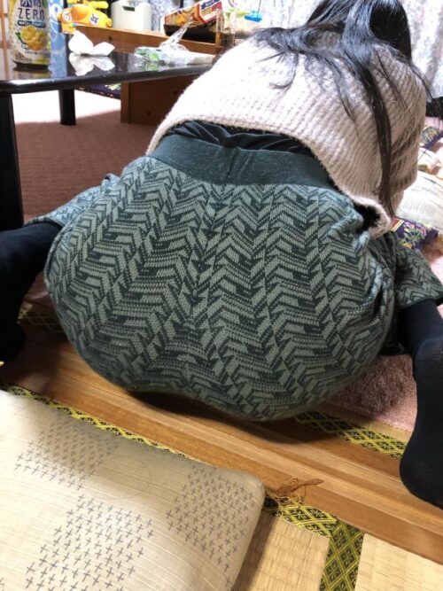 【画像】姉のケツがデカすぎて邪魔