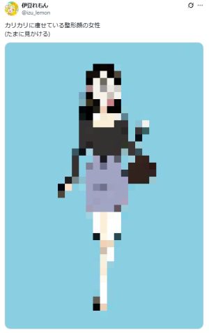 【画像あり】X「整形した女ってみんなこんな感じ」→整形女たちガチギレWWWWWWWWW