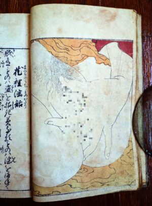 【画像あり】江戸時代の人が描いた女性の自慰行為がリアルすぎる