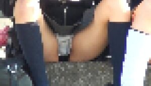 【画像】JKやJCのしゃがみパンチラってさ、そんなに見たいもんか？