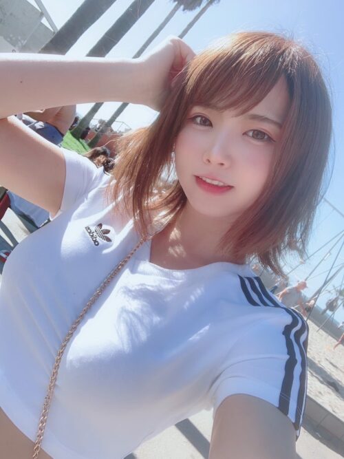 【画像】チー牛弱男、こういう女の子が好きすぎる