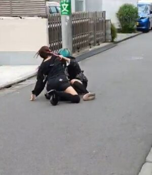 【動画】閑静な住宅街で急にキャットファイトが始まるｗ